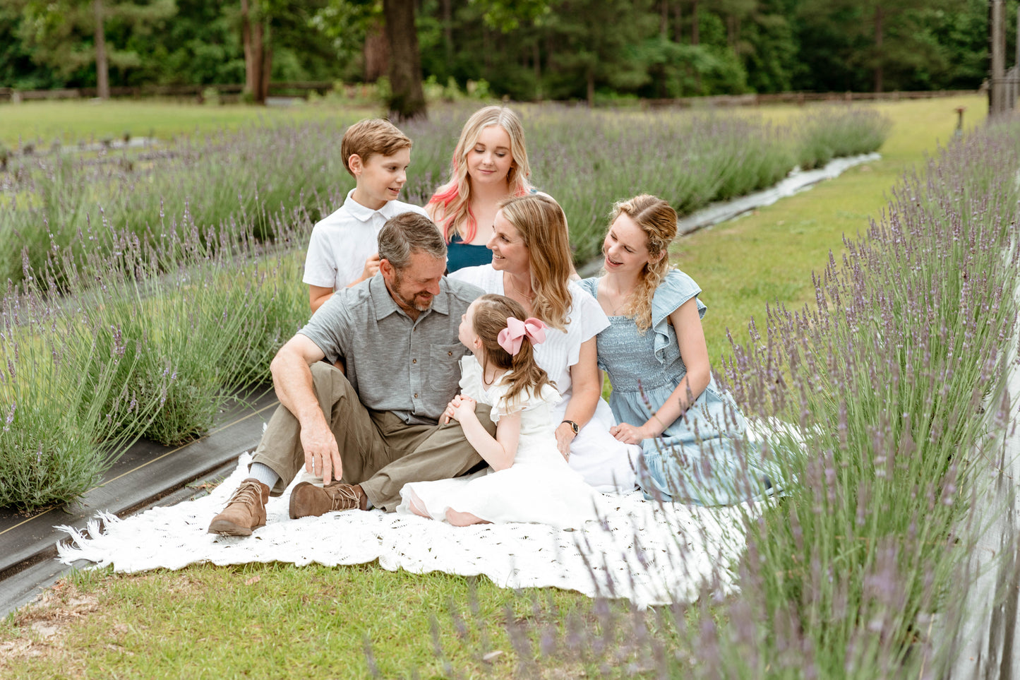 U-Pick Lavender Tickets at Lazy Fox Lavender Farm