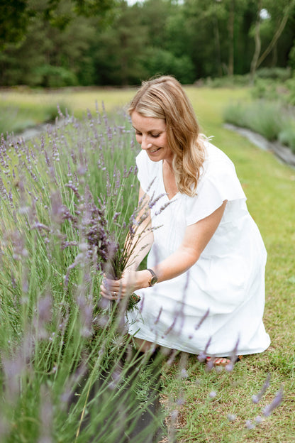 U-Pick Lavender Tickets at Lazy Fox Lavender Farm