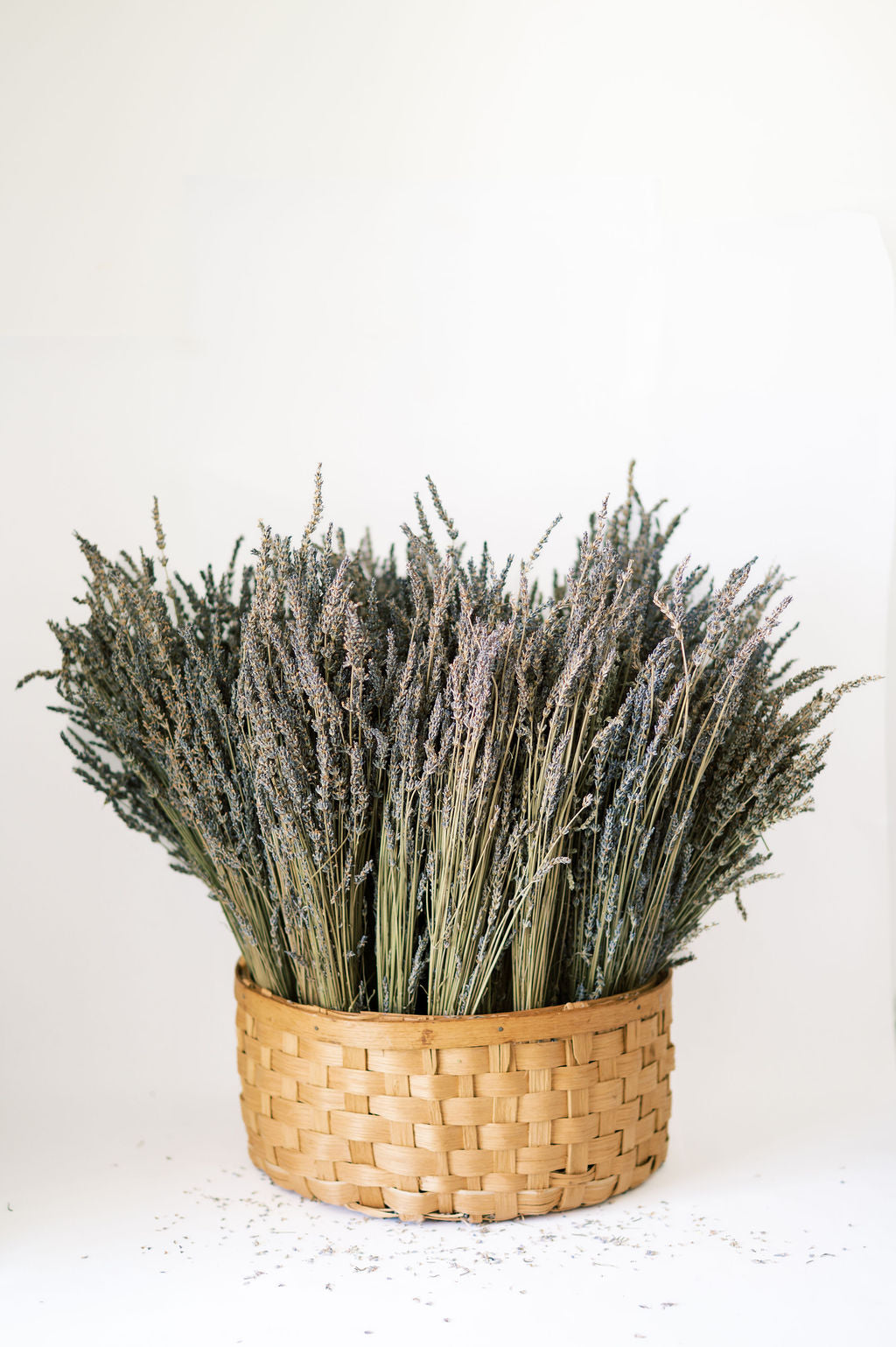 Dried Lavender Bundle
