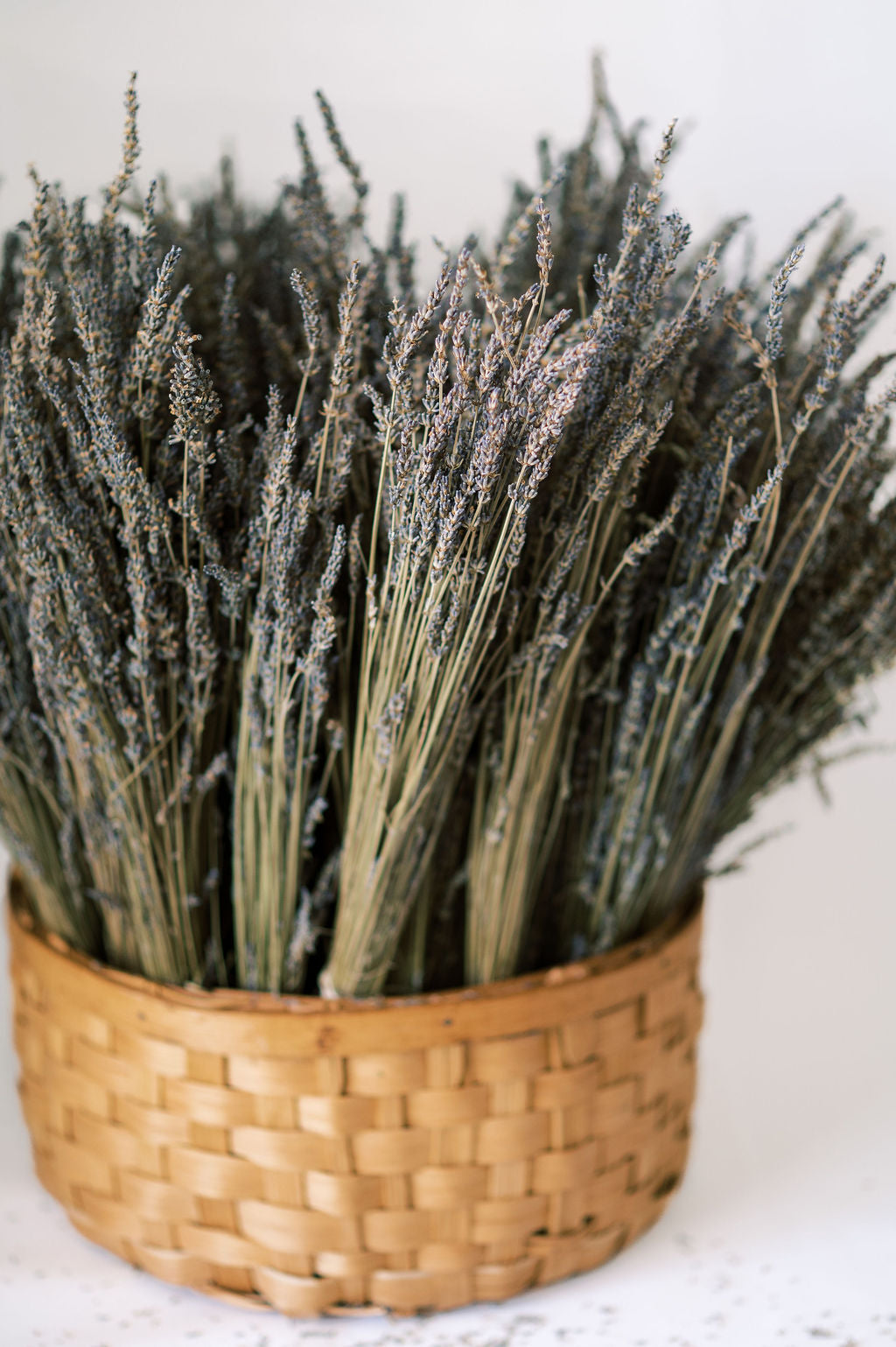 Dried Lavender Bundle