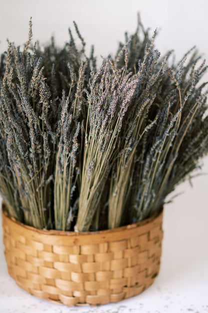 Dried Lavender Bundle