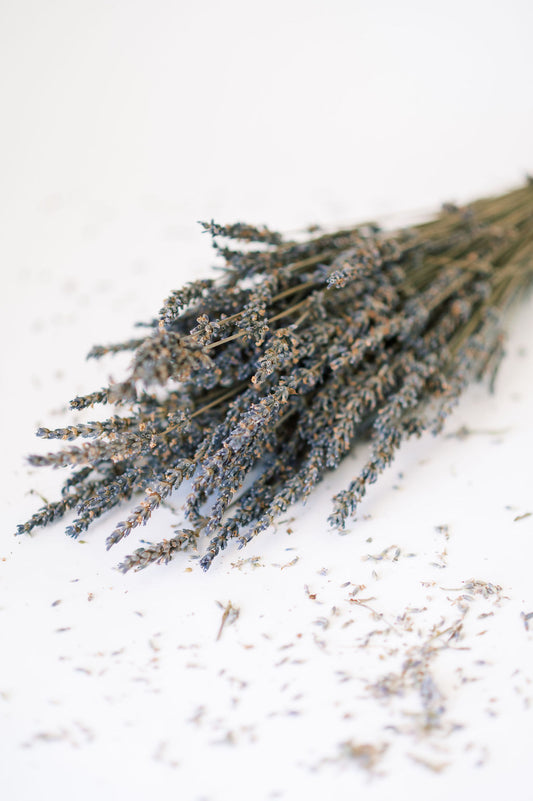 Dried Lavender Bundle